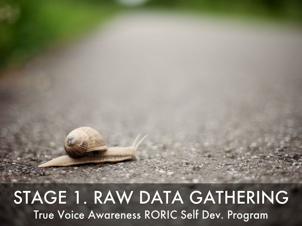 Raw Data Gathering