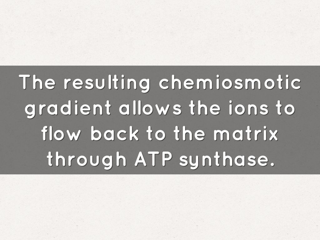 Krebs Cycle and Electron Transport by jennifer.daniel