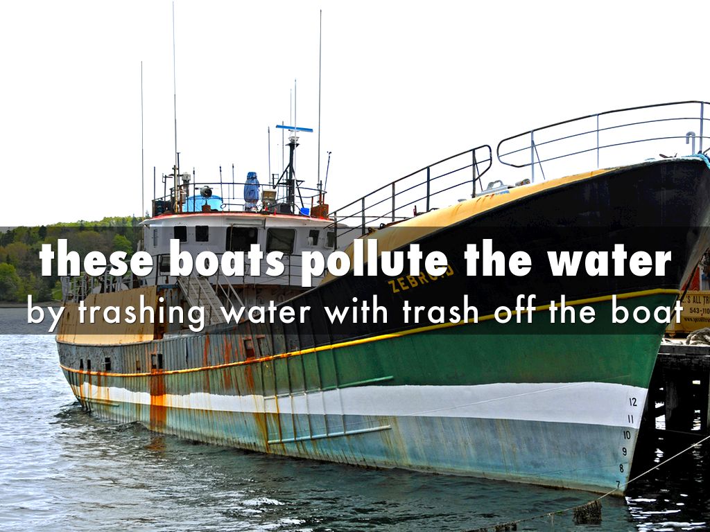 Reducing Pollution by Cheryl Bolz