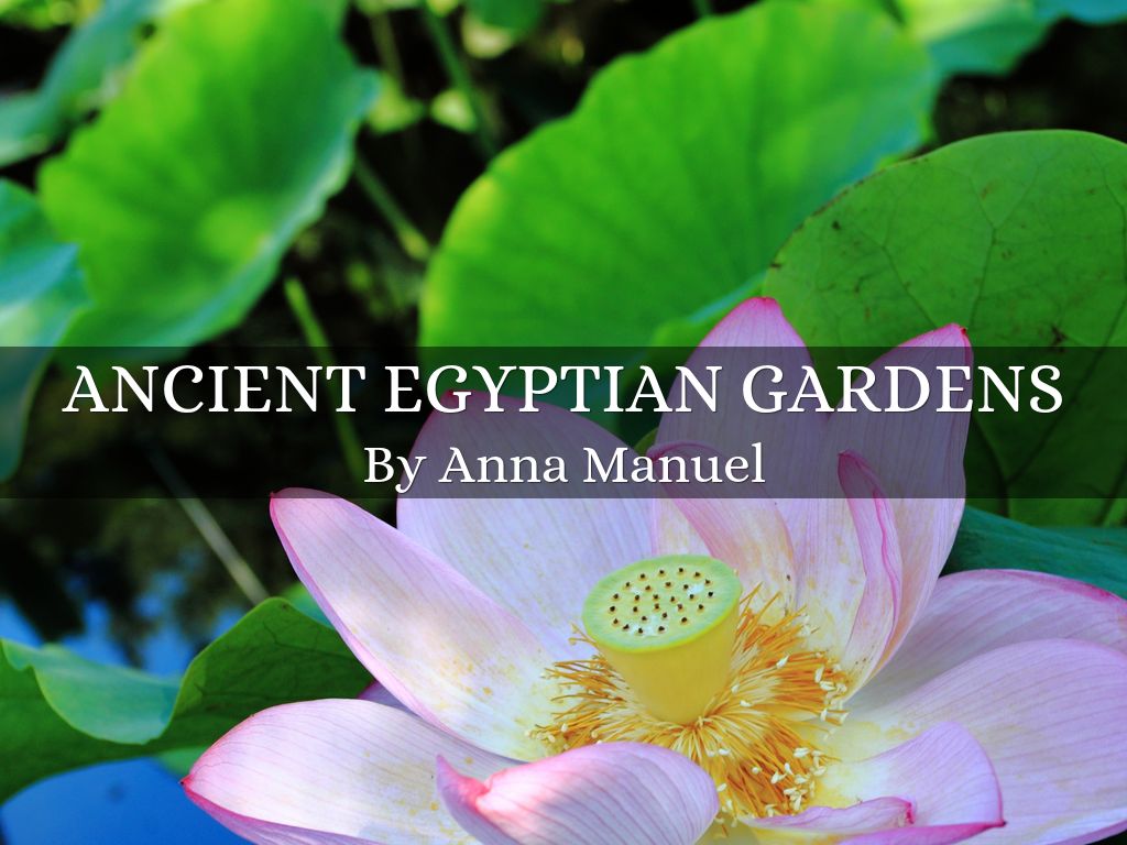 Ancient Egyptian Gardens by Anna Manuel