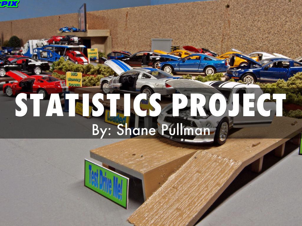 Statistics Project
