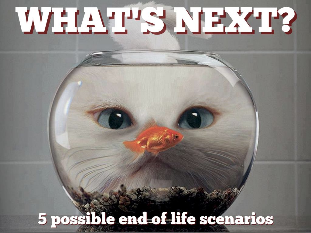 What's Next?