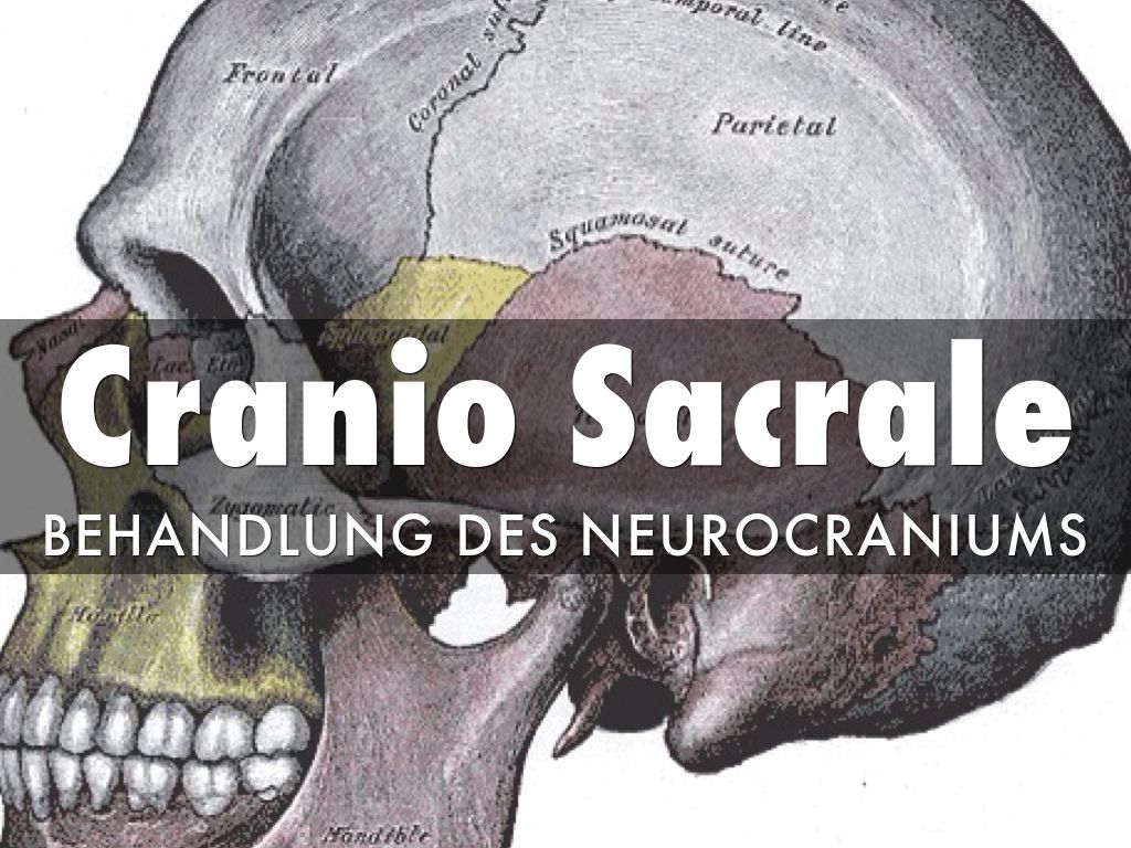 Cranio Sacrale