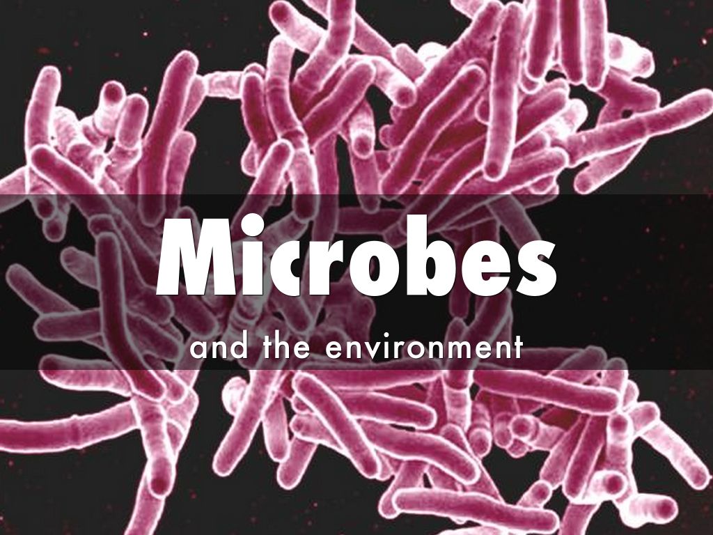 Microbes