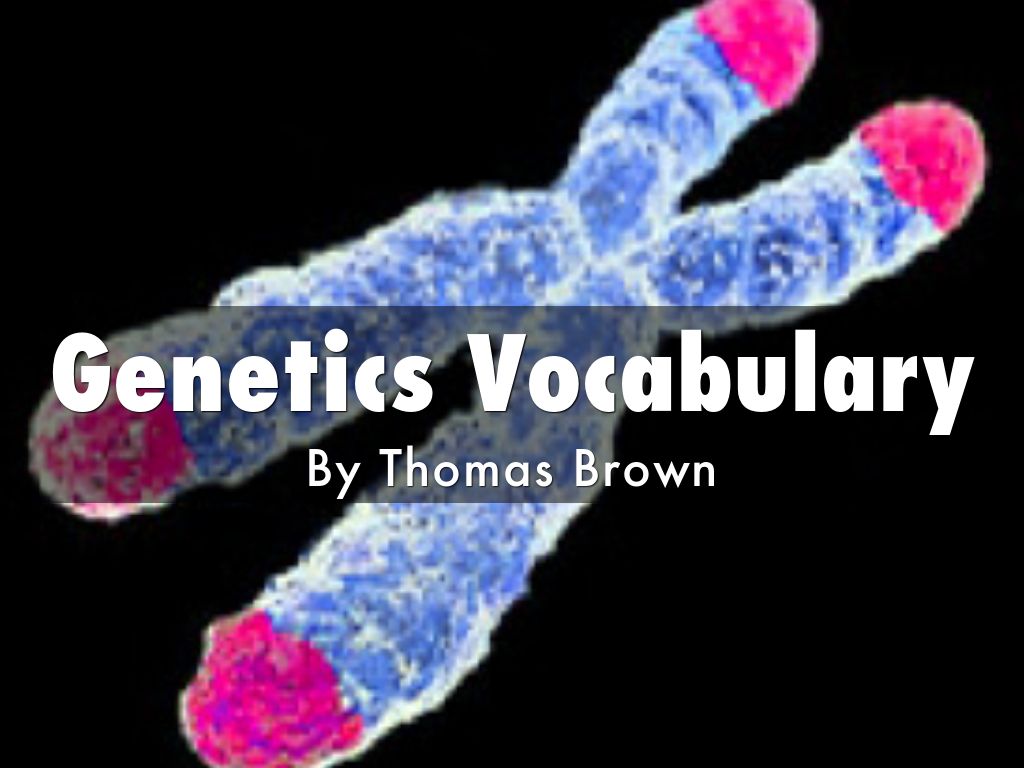 Genetics Vocabulary