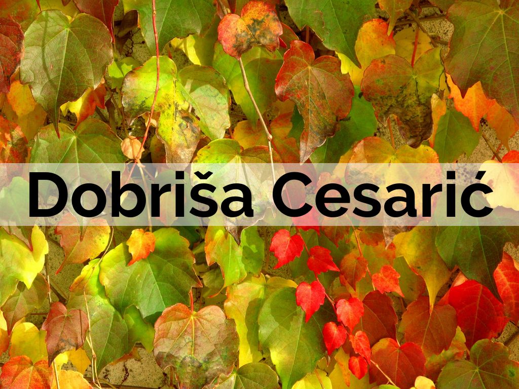 Dobriša Cesarić by takacmatteo