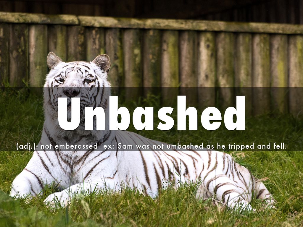 Nygaard Grant p7 Deck 2