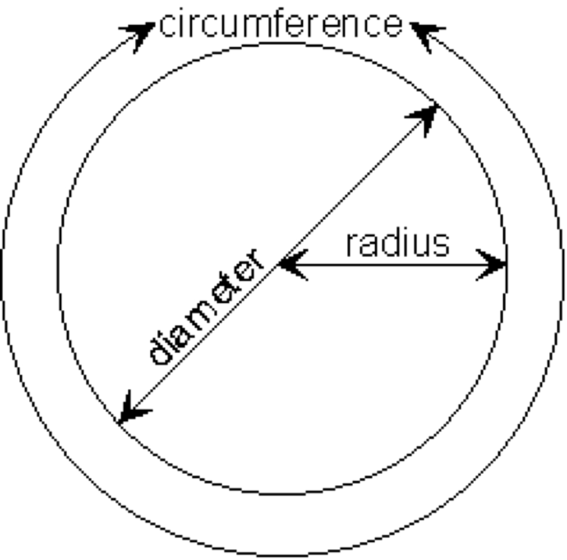 worksheet Circumference Of Circle circle vocab by caitlin torrens