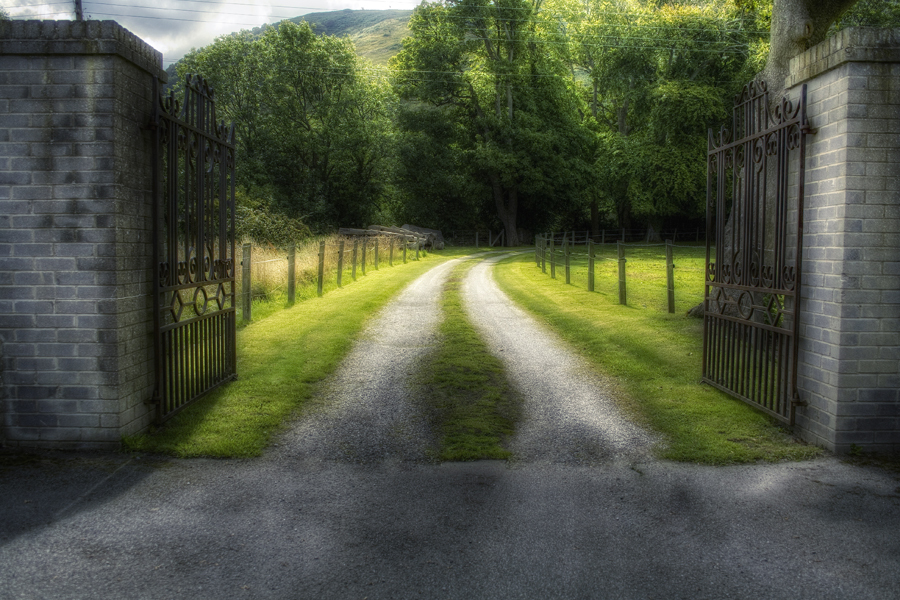 opening the gates to lrw career services by wendy