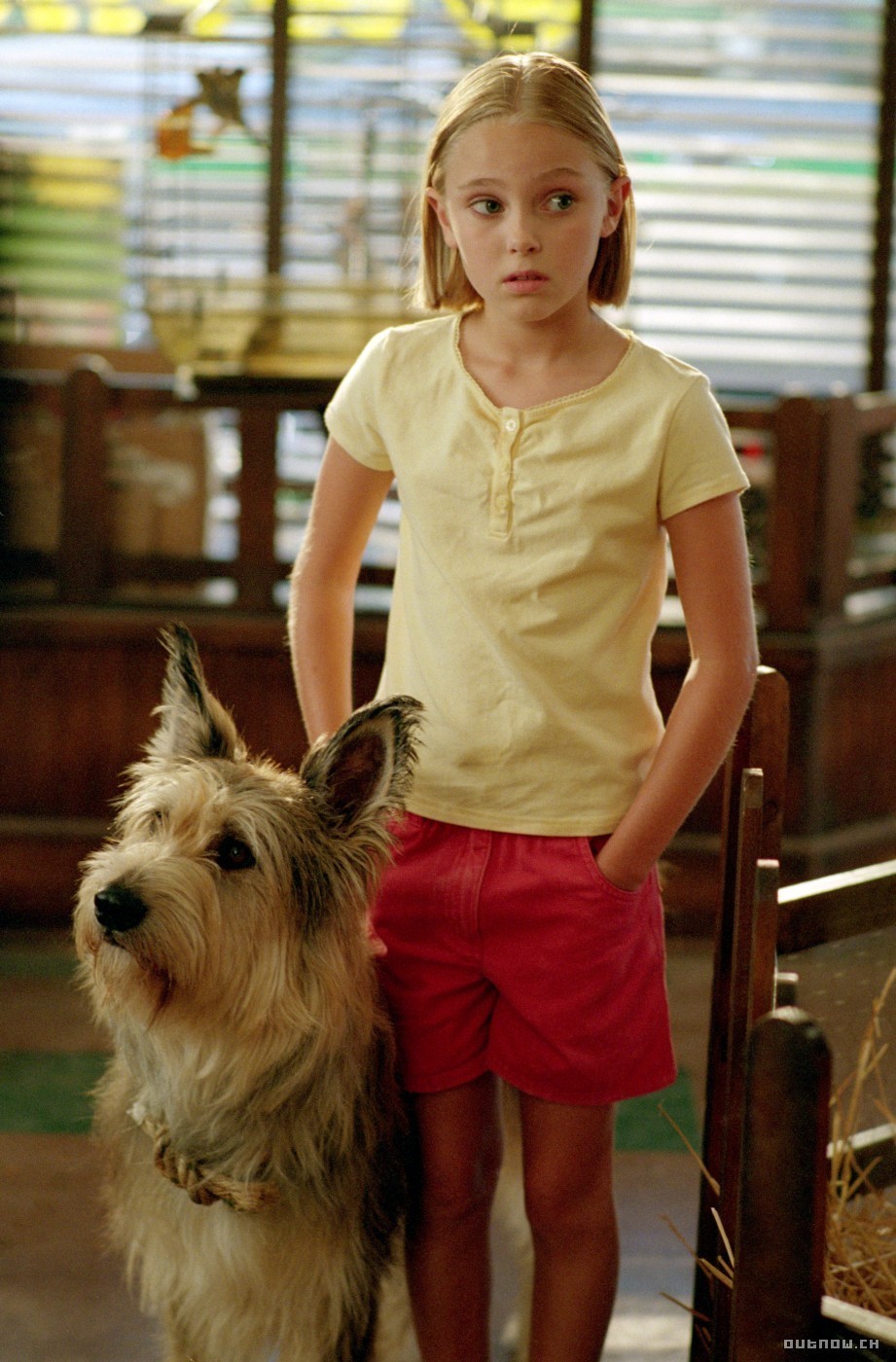 Because Of Winn Dixie Opal Character Traits