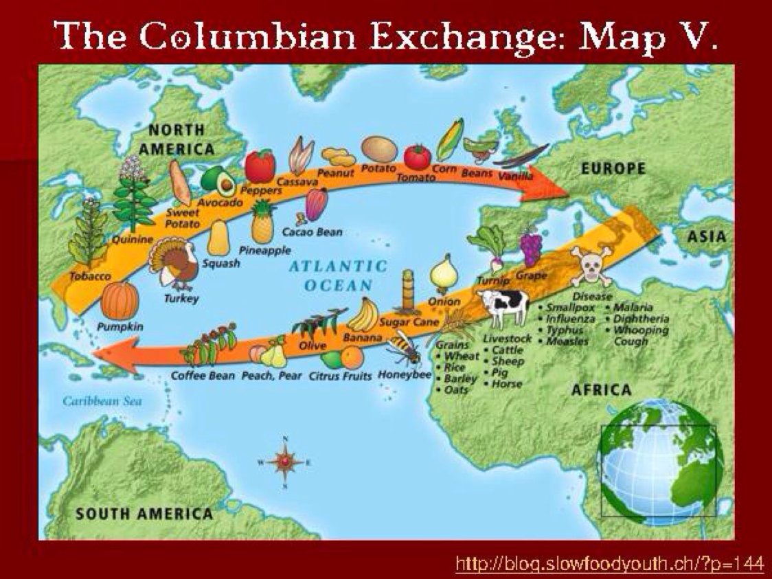 Worksheets Columbian Exchange Worksheet exploration by taina gillison