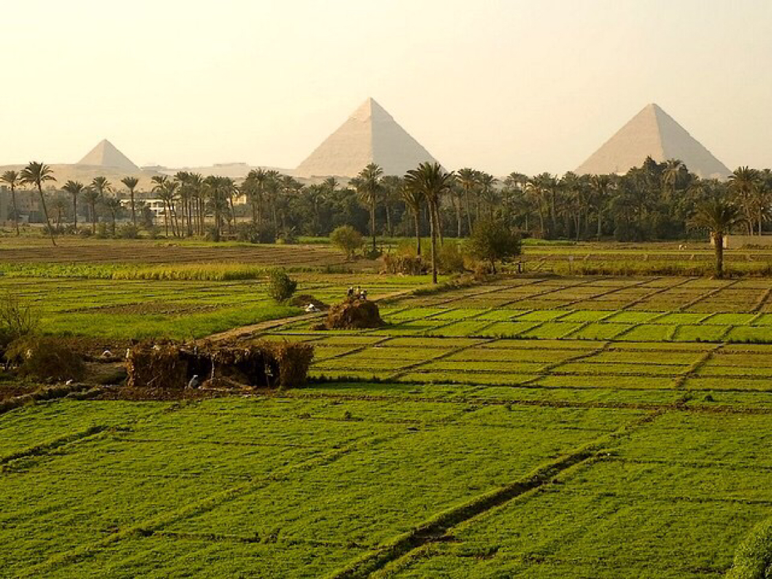 green filed overlooking pyramids