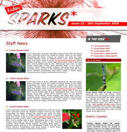 internal hr newsletter by snehaag1591