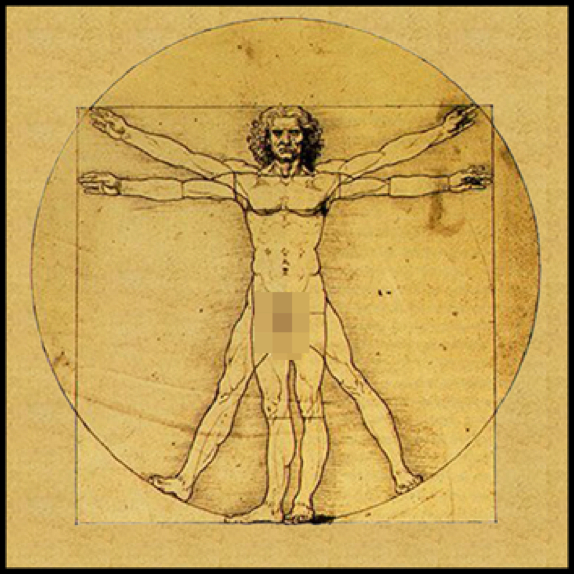 leonardo da vinci vitruvian man censored