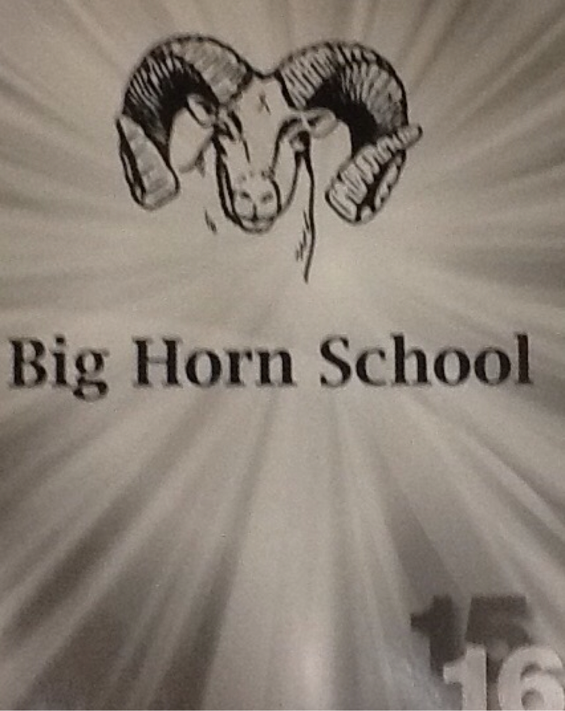 My Experience At BHMS