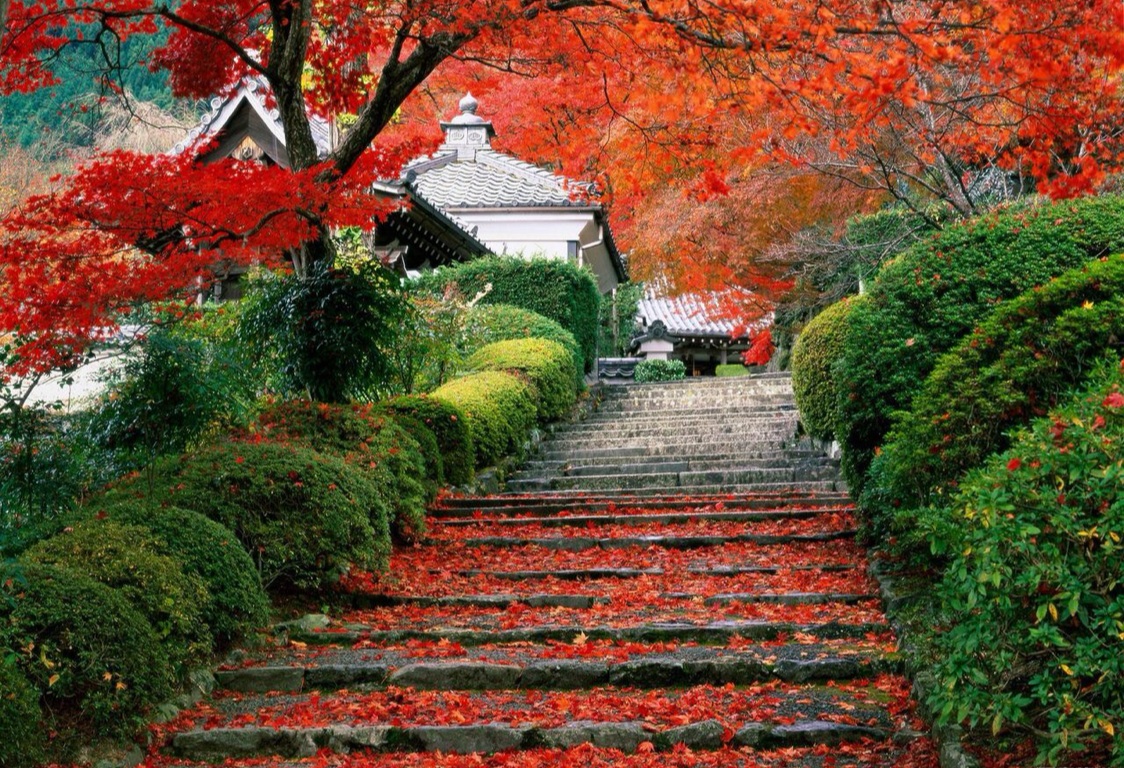 日本by Gao