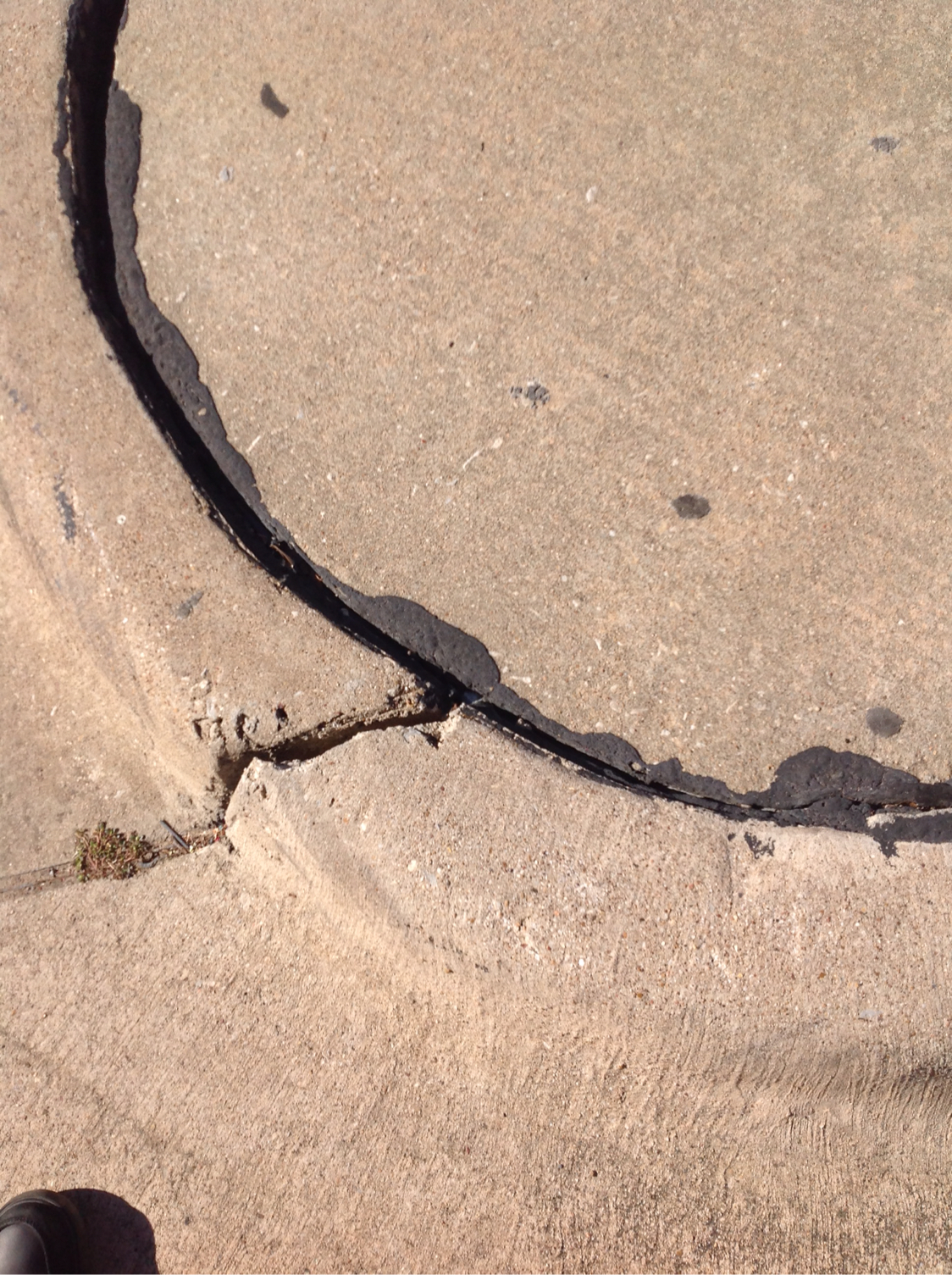 Haiku Deck In Action by Bella Baudhuin