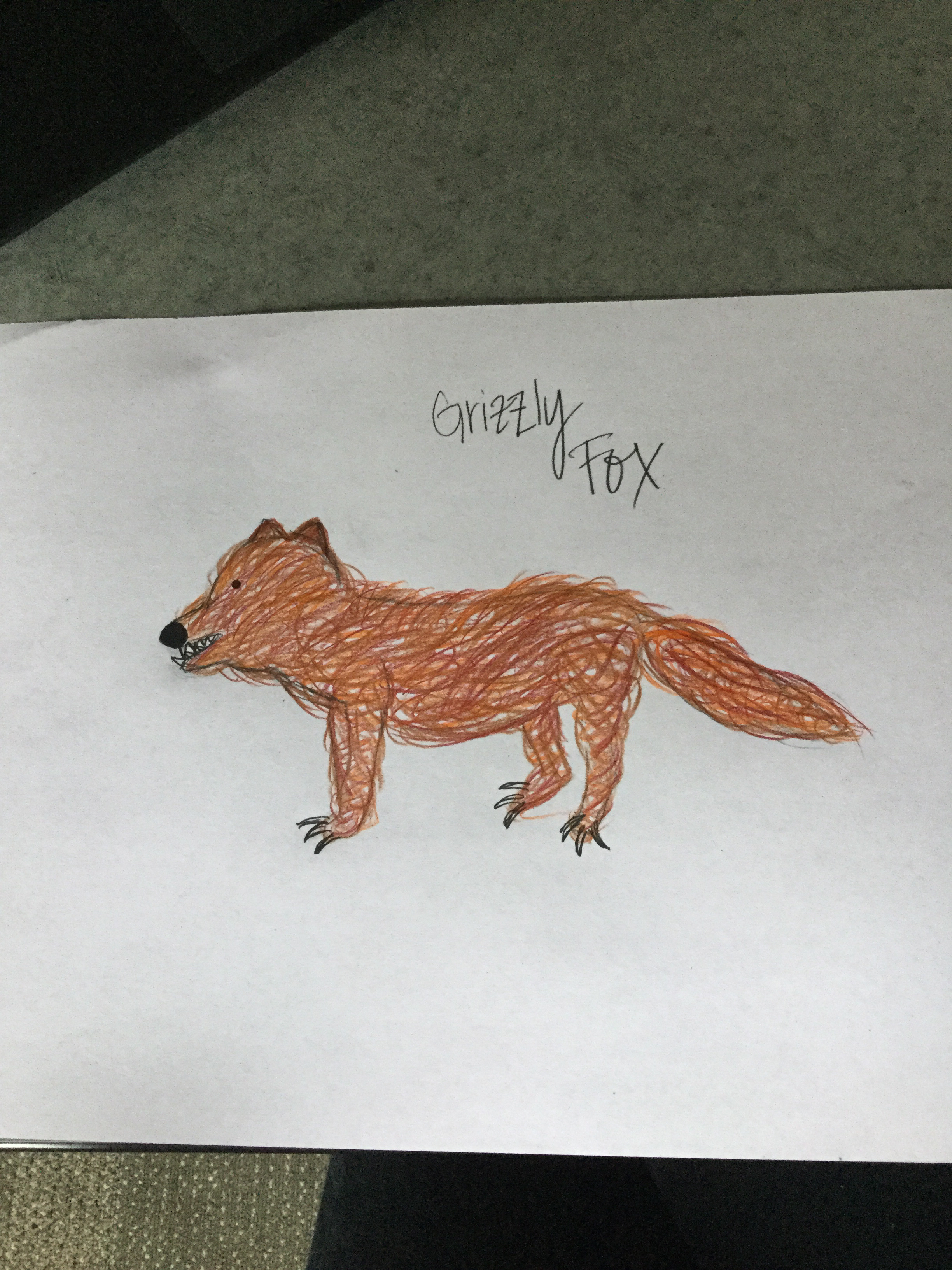 Grizzly Fox
