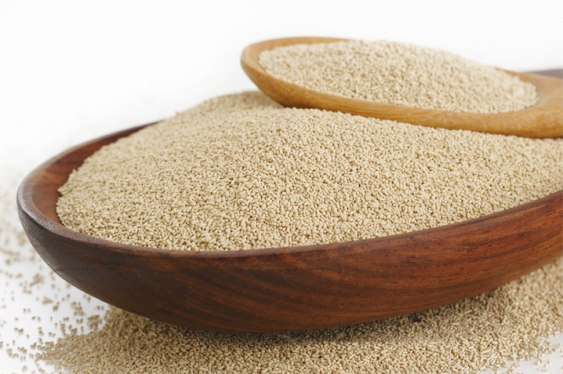 Copy of Untitled Haiku Deck