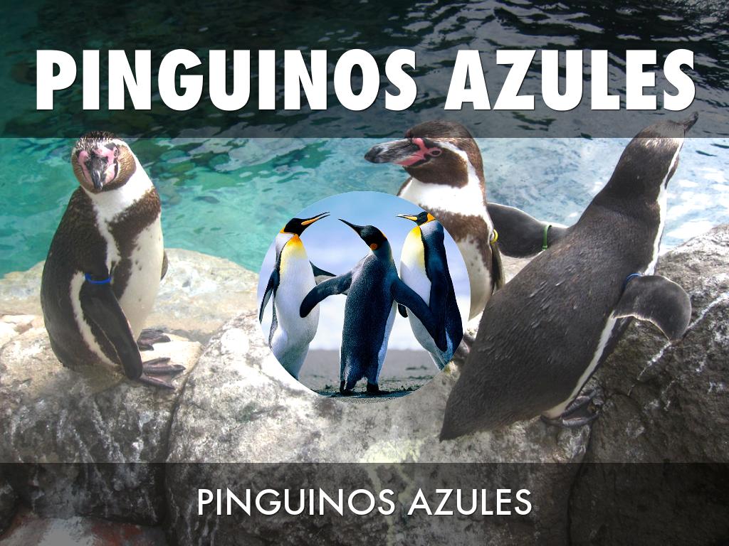 PINGUINOS