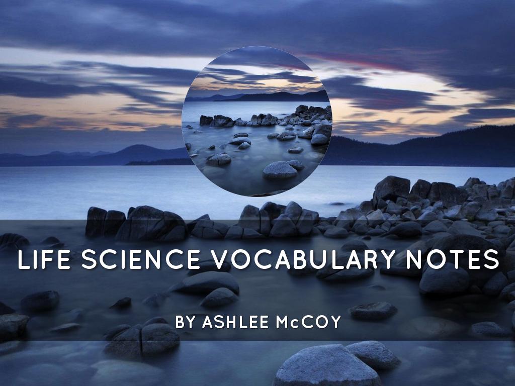 Science Vocabulary Notes