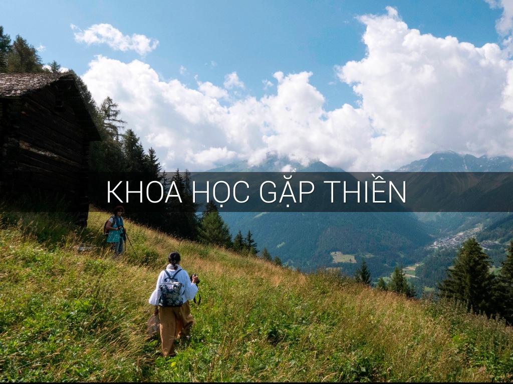 Khoa Học gặp Thiền 