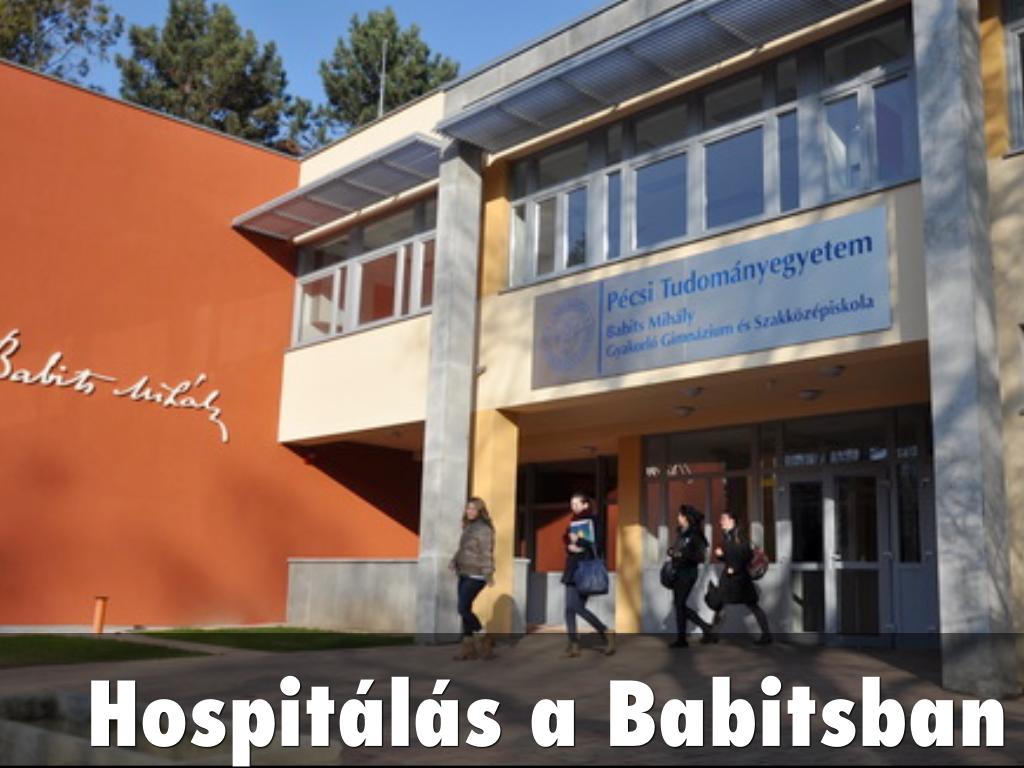 Hospitálás a Babitsban