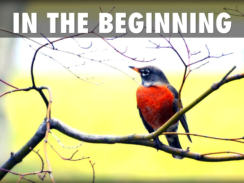 In The Beginning