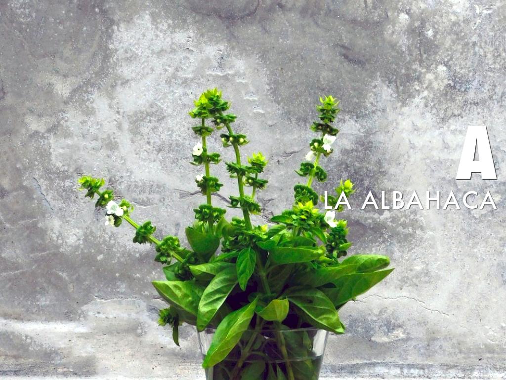 Copy of A B C â S    S P A N I S H    V E R S I O N