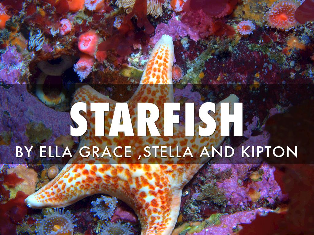 Starfish Project