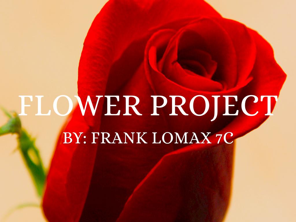 Flower Project