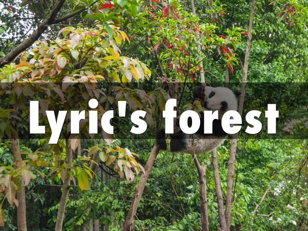 Lyric's forest
