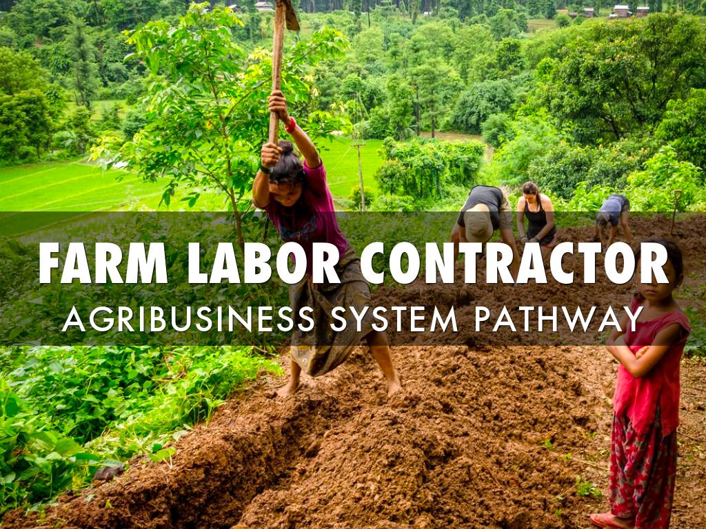 Farm Labor Contractor