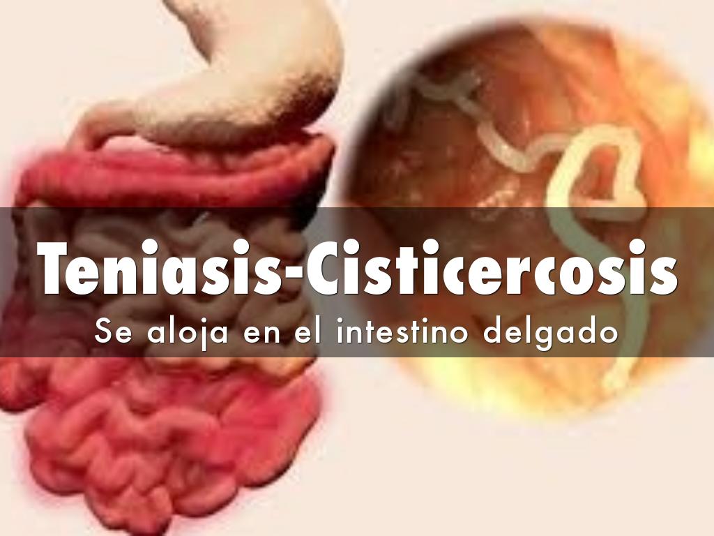 Teniasis-Cisticercosis