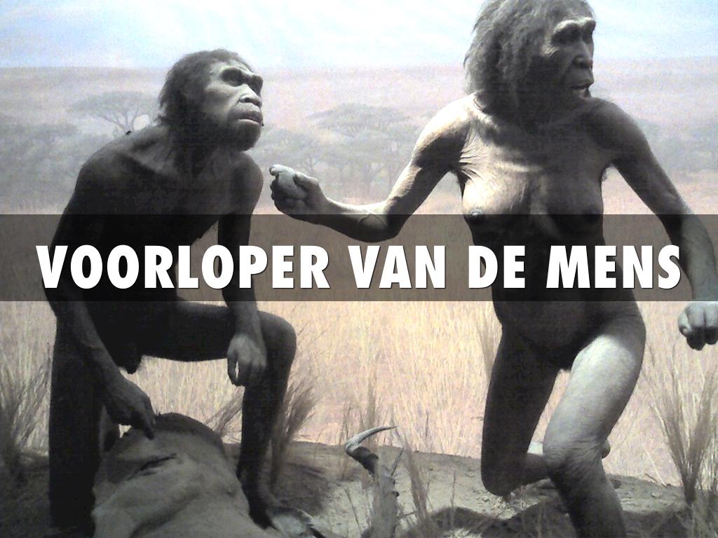Voorloop Van De Mens