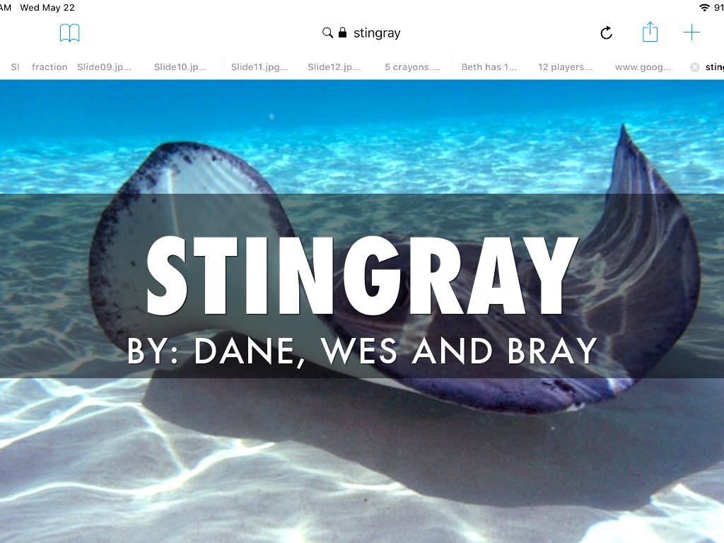 Dane, Wesley And Brayden