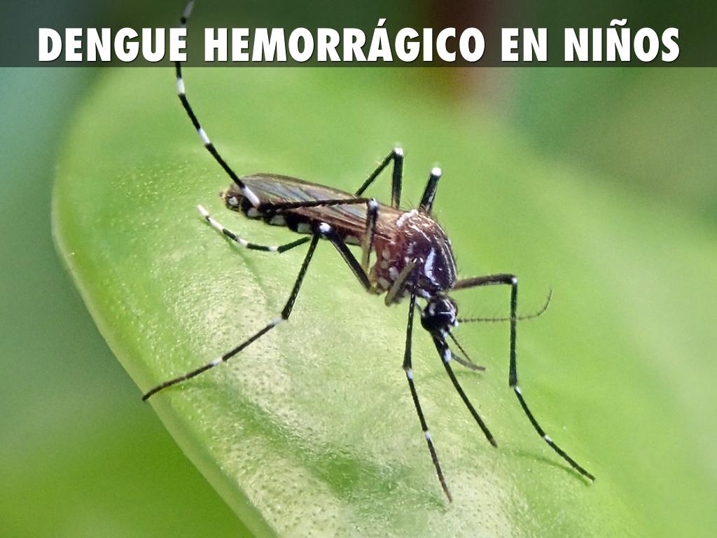 DENGUE HEMORRÁGICO EN NIÑOS MENORES DE 5 AÑOS