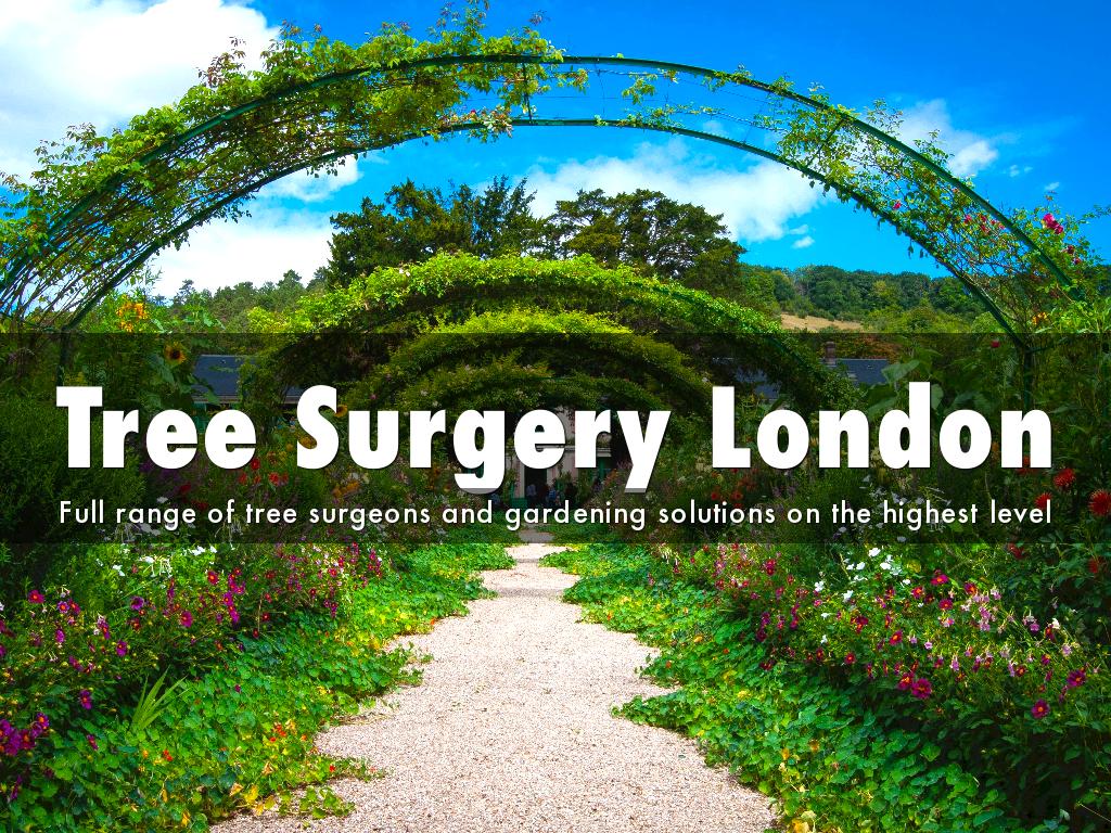 Tree Surgery London