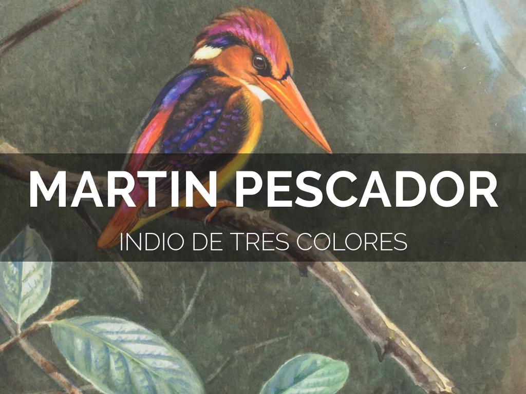 <font style="vertical-align: inherit;"><font style="vertical-align: inherit;">AVE HERMOSA</font></font>