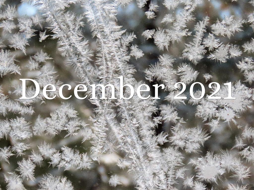December 2021