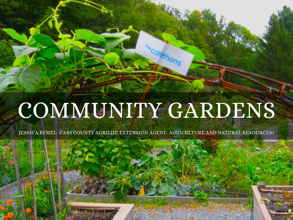 Community Gardens