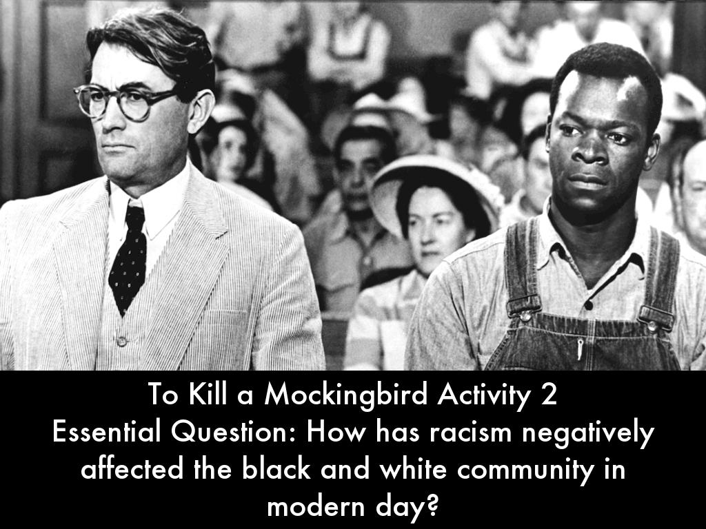 MBird Activity 2 Presentation