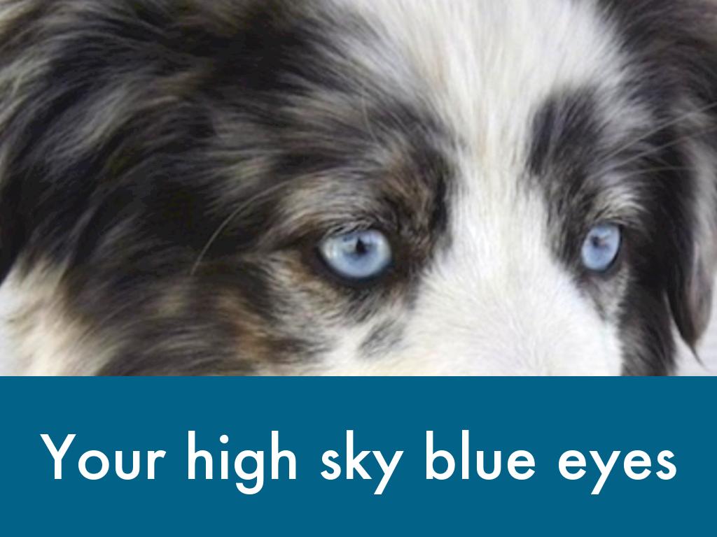 Computer Science Slides