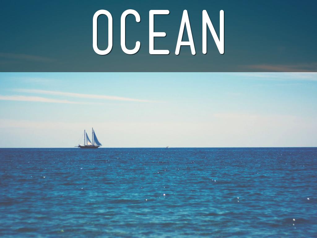   Classifications Of Sea Animals