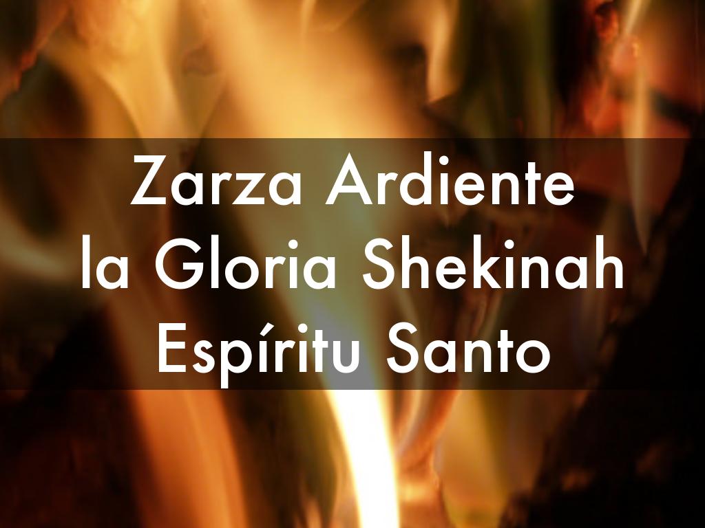 Alabanza Y Adoracion By Arlette Almanzar alabanza y adoracion by arlette almanzar