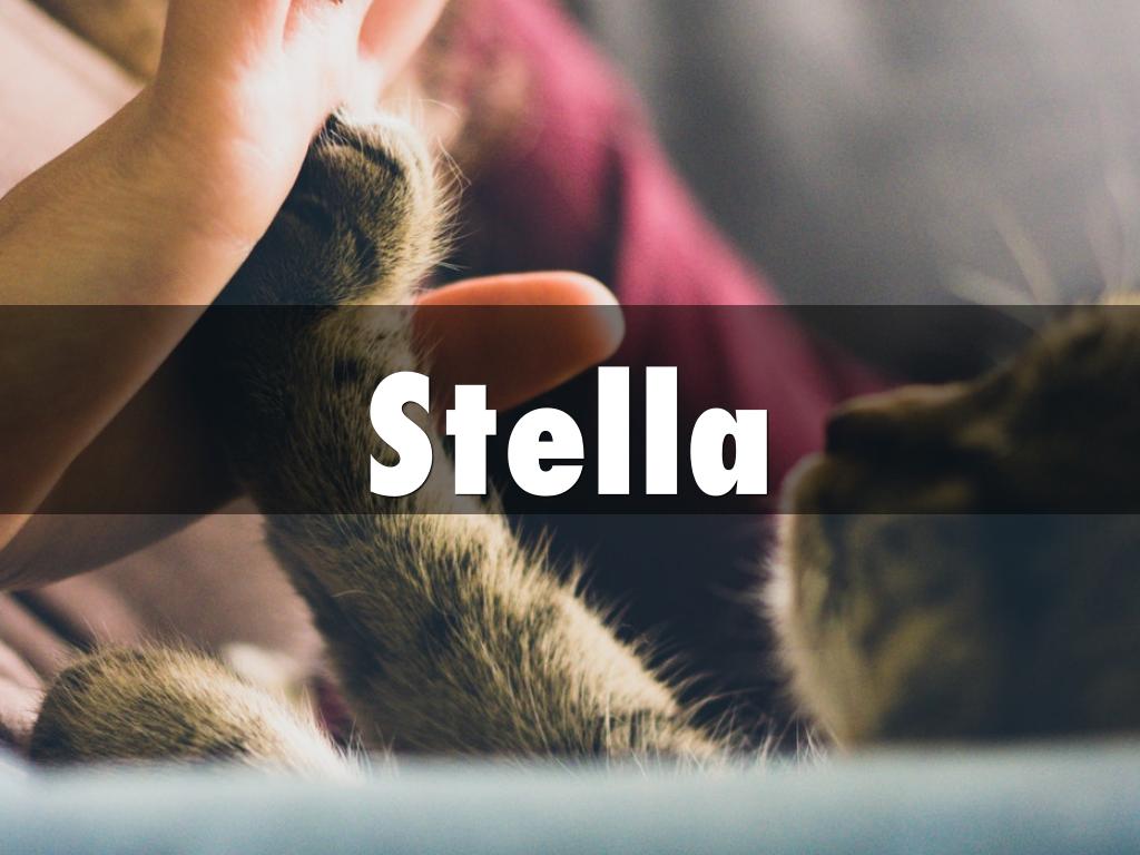 Stella