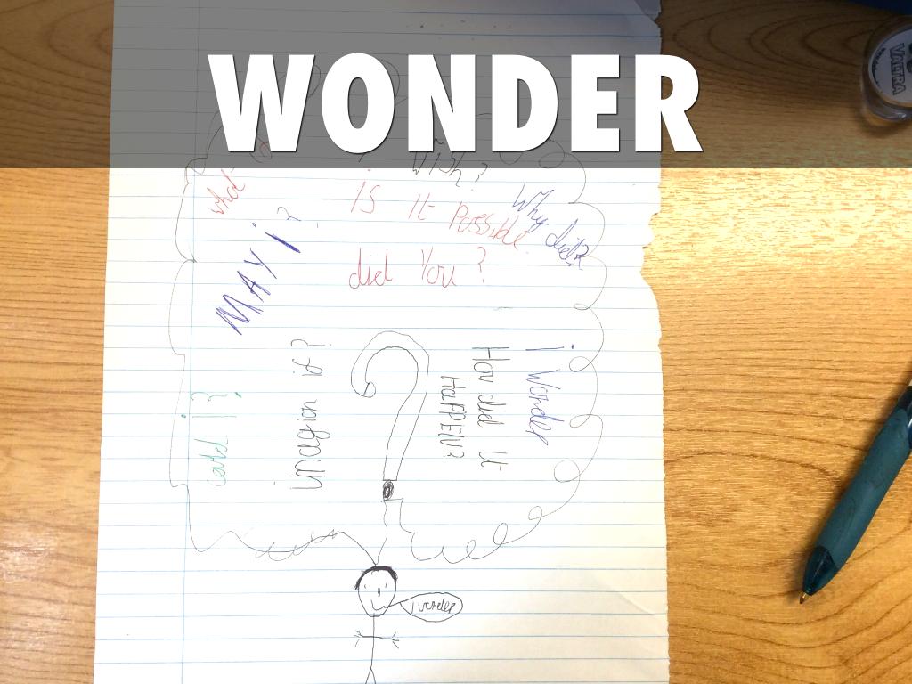 Wonder