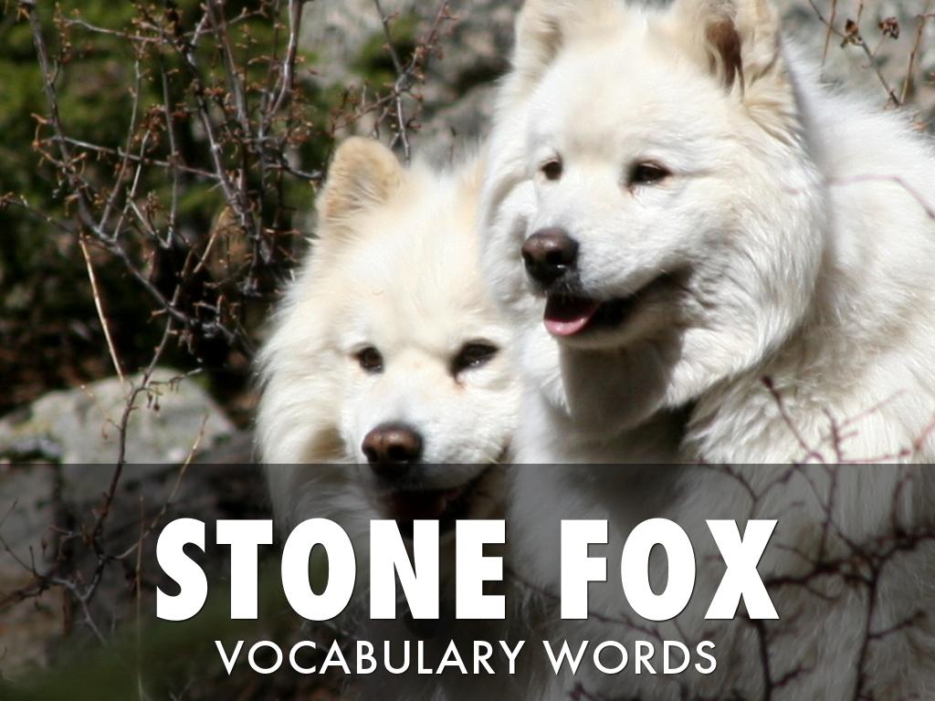 Stone Fox by Elaine Main