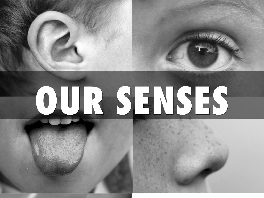 Five Senses