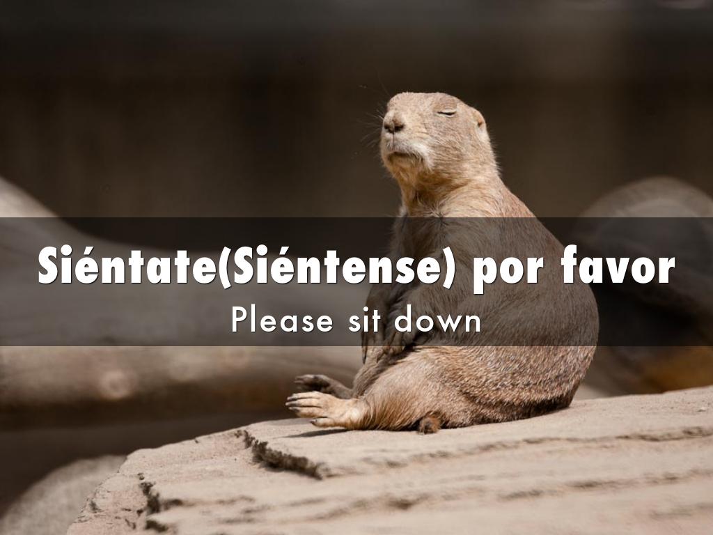 Frases Útiles by Nilsa Huynh